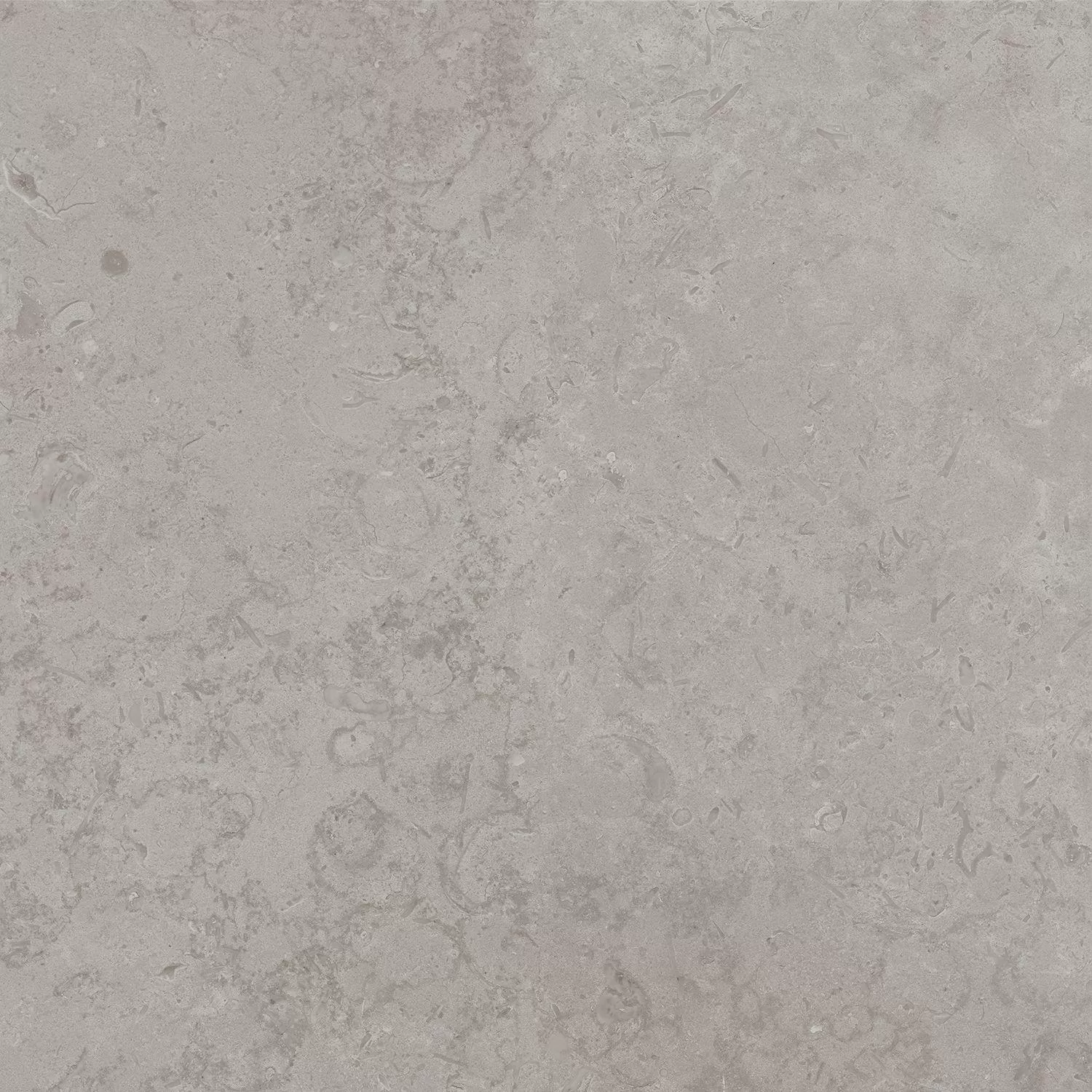 Про Лаймстоун серый натуральный обрезной 60x60x0,9