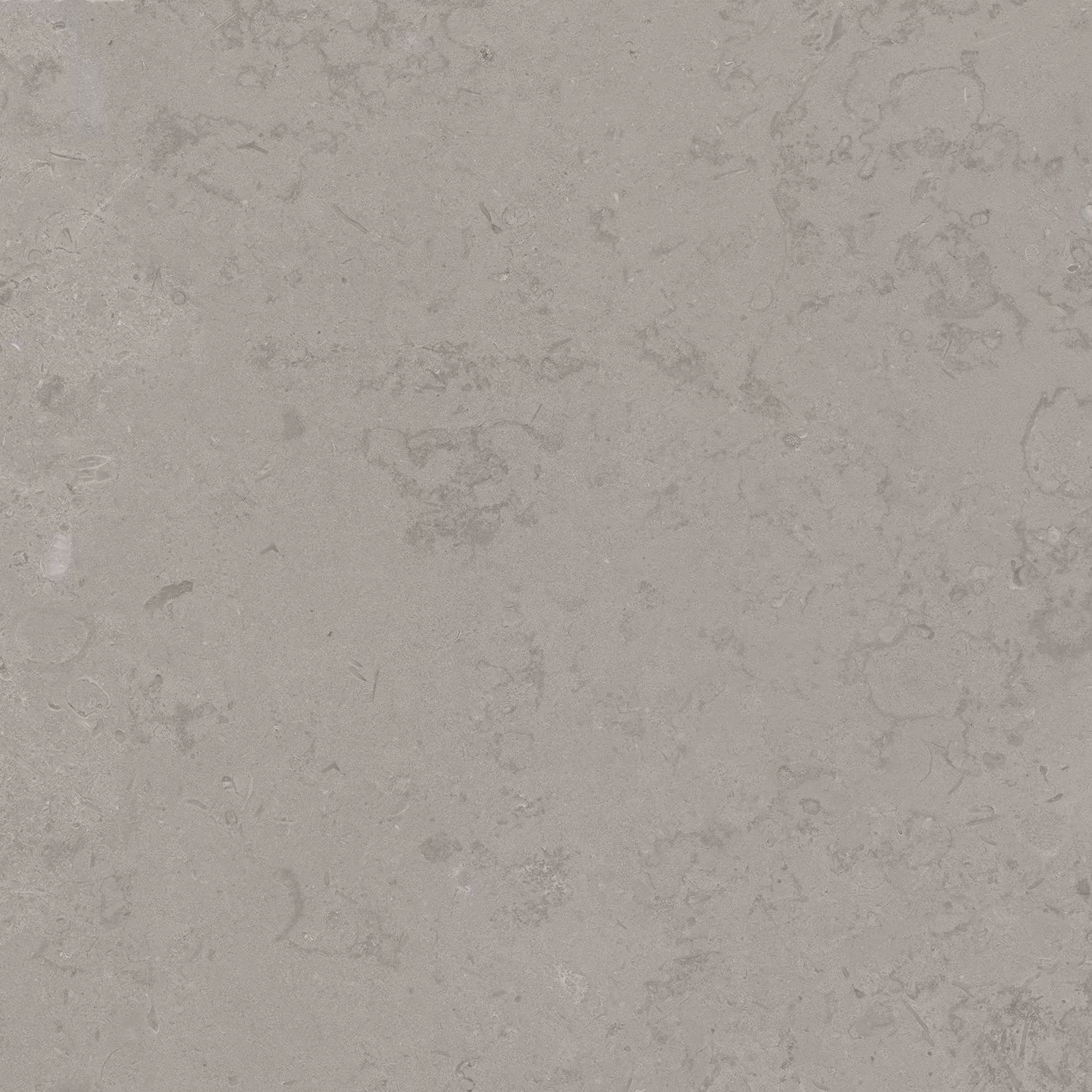 Про Лаймстоун серый натуральный обрезной 60x60x0,9
