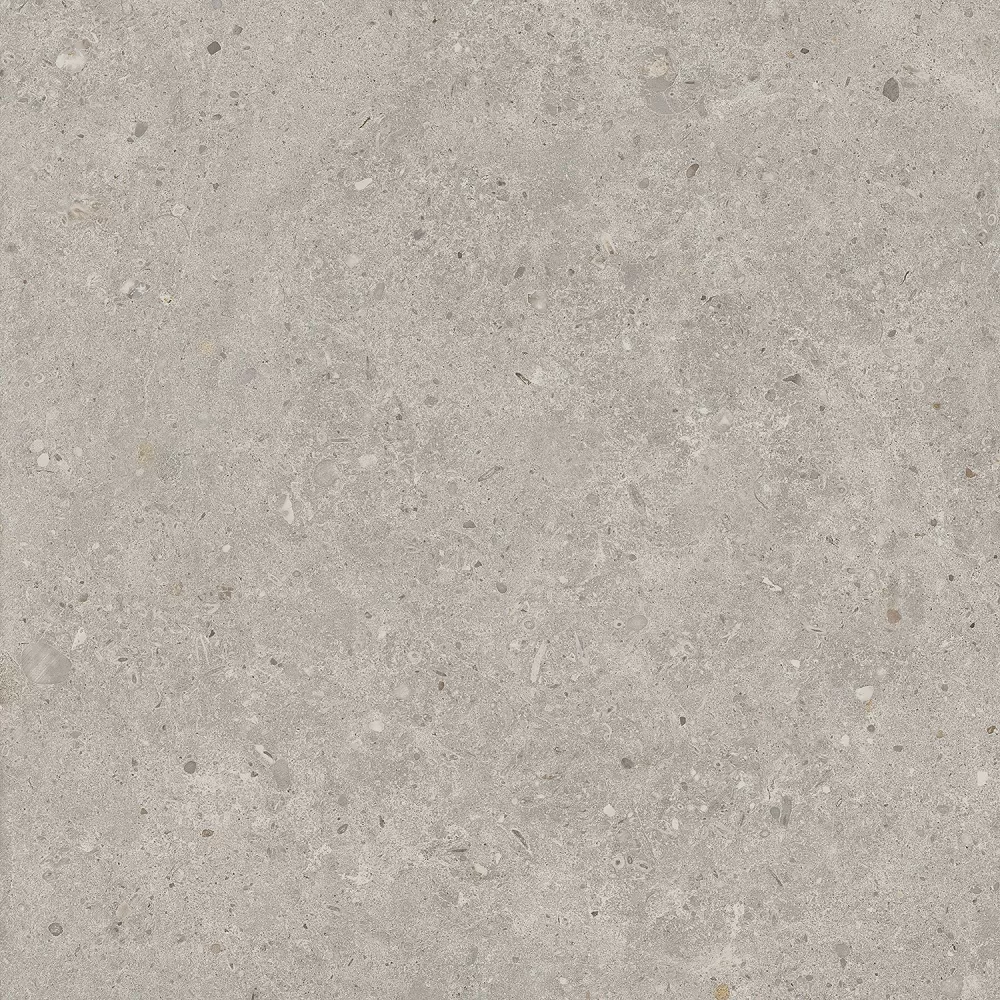 Риккарди серый светлый матовый обрезной 60x60x0,9