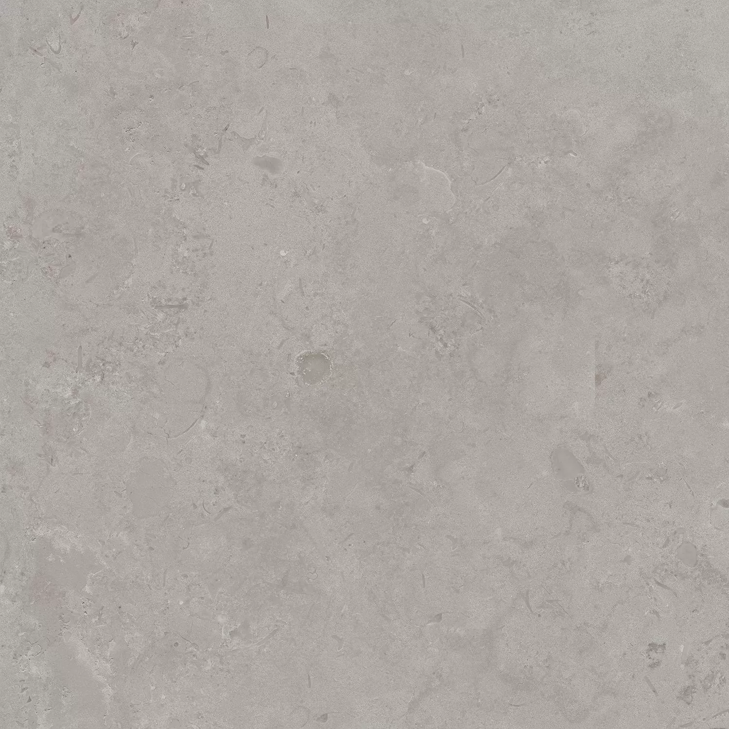 Про Лаймстоун серый натуральный обрезной 60x60x0,9