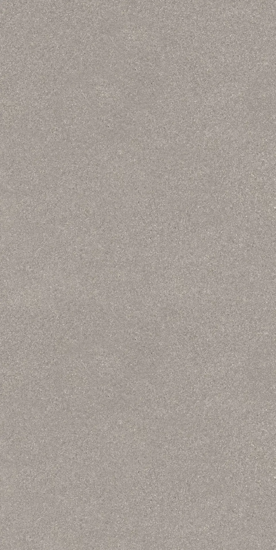 Рабат серый матовый обрезной 30x60x0,9