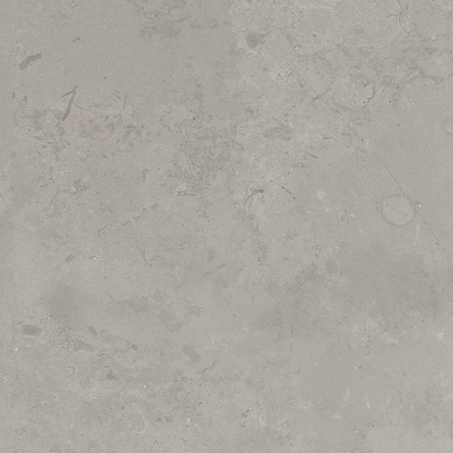 Про Лаймстоун серый натуральный обрезной 60x60x0,9