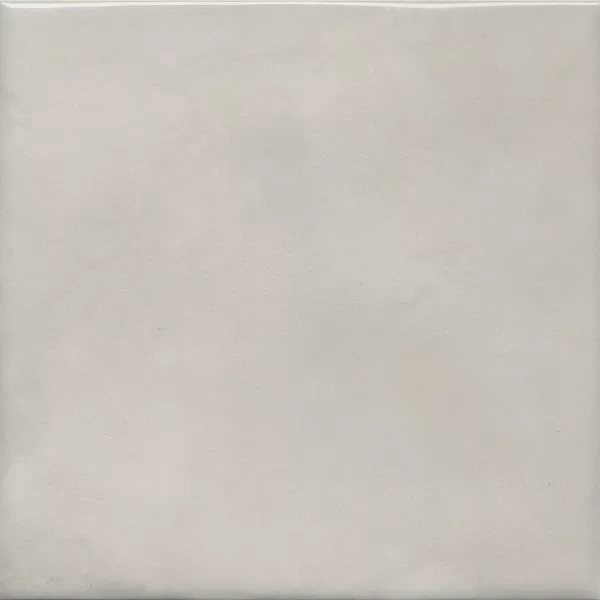 Адриатика серый глянцевый 20x20x0,69