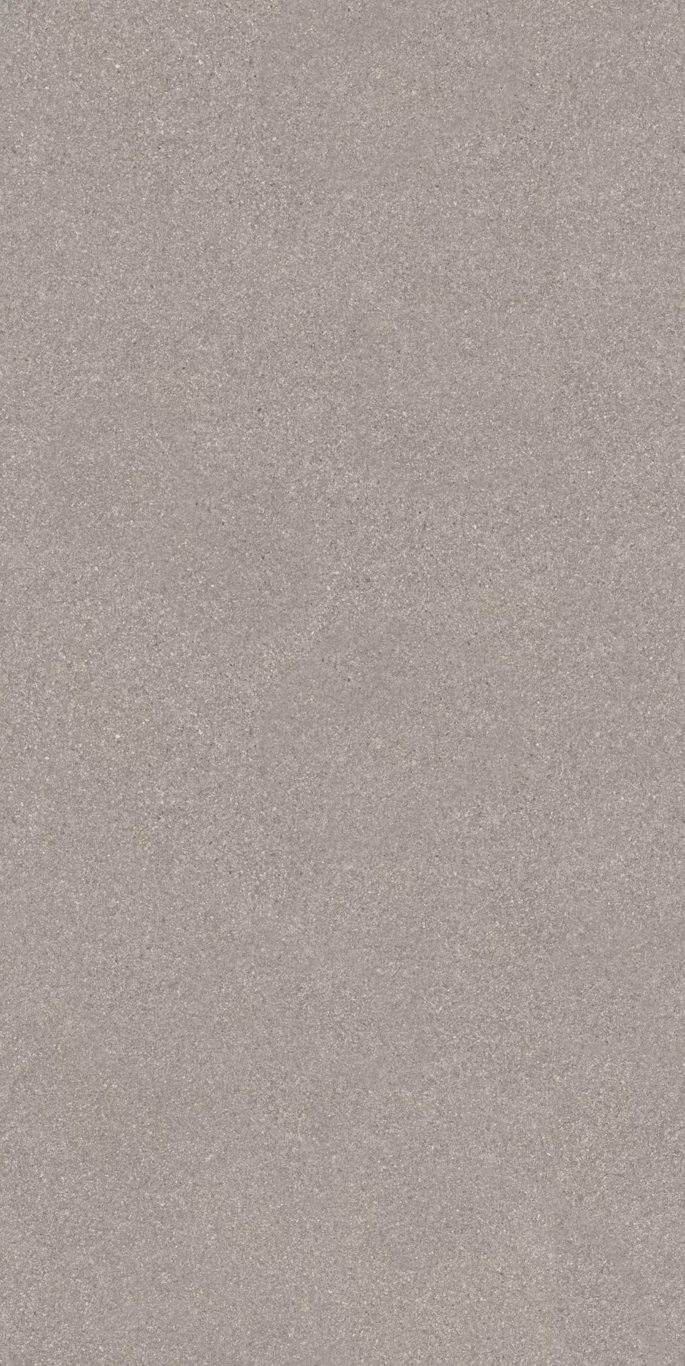 Рабат серый матовый обрезной 30x60x0,9