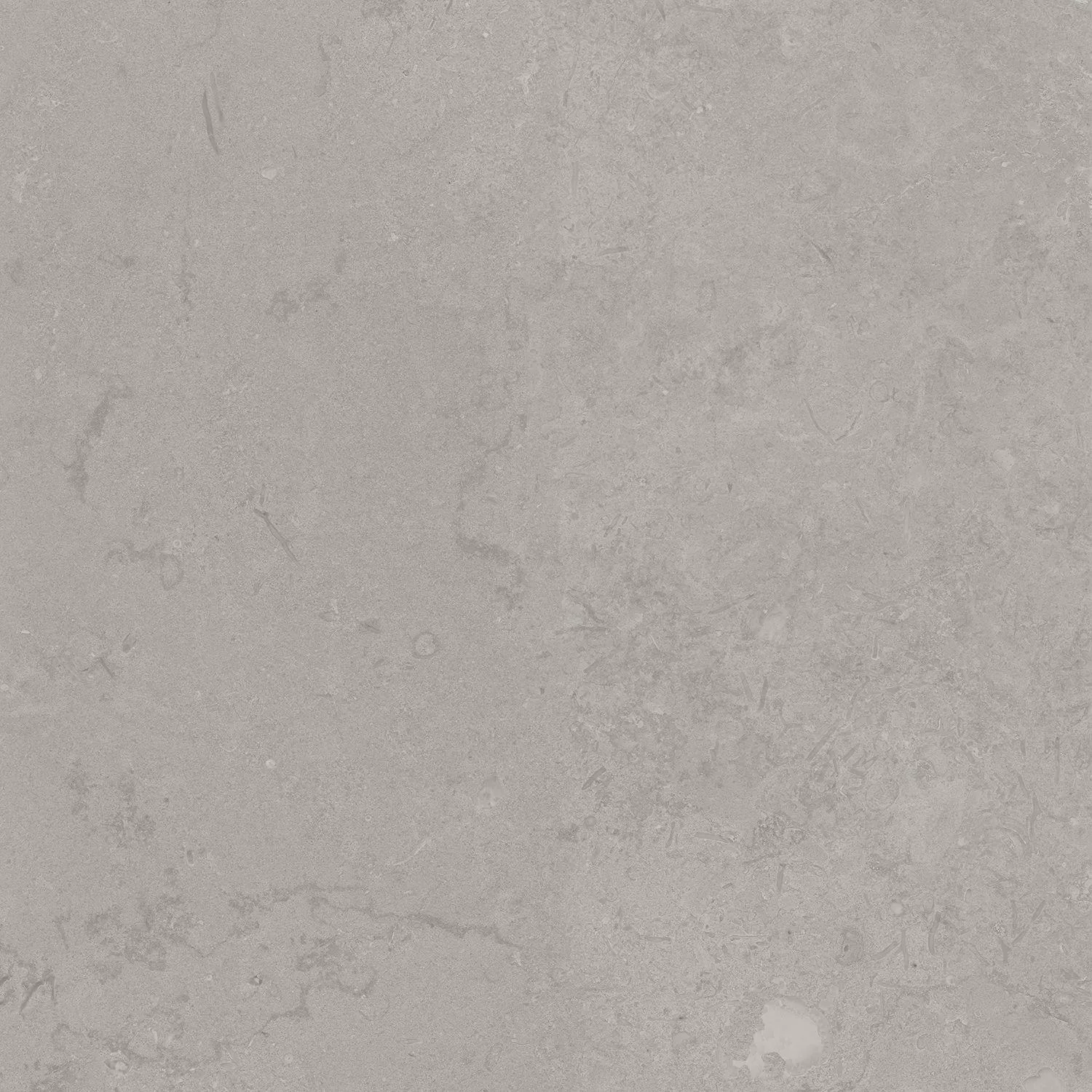 Про Лаймстоун серый натуральный обрезной 60x60x0,9