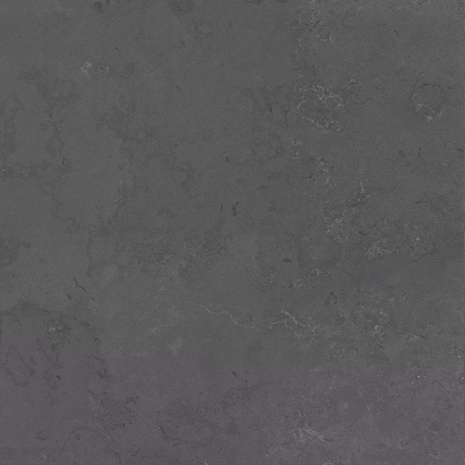Про Лаймстоун серый темный натуральный обрезной 60x60x0,9