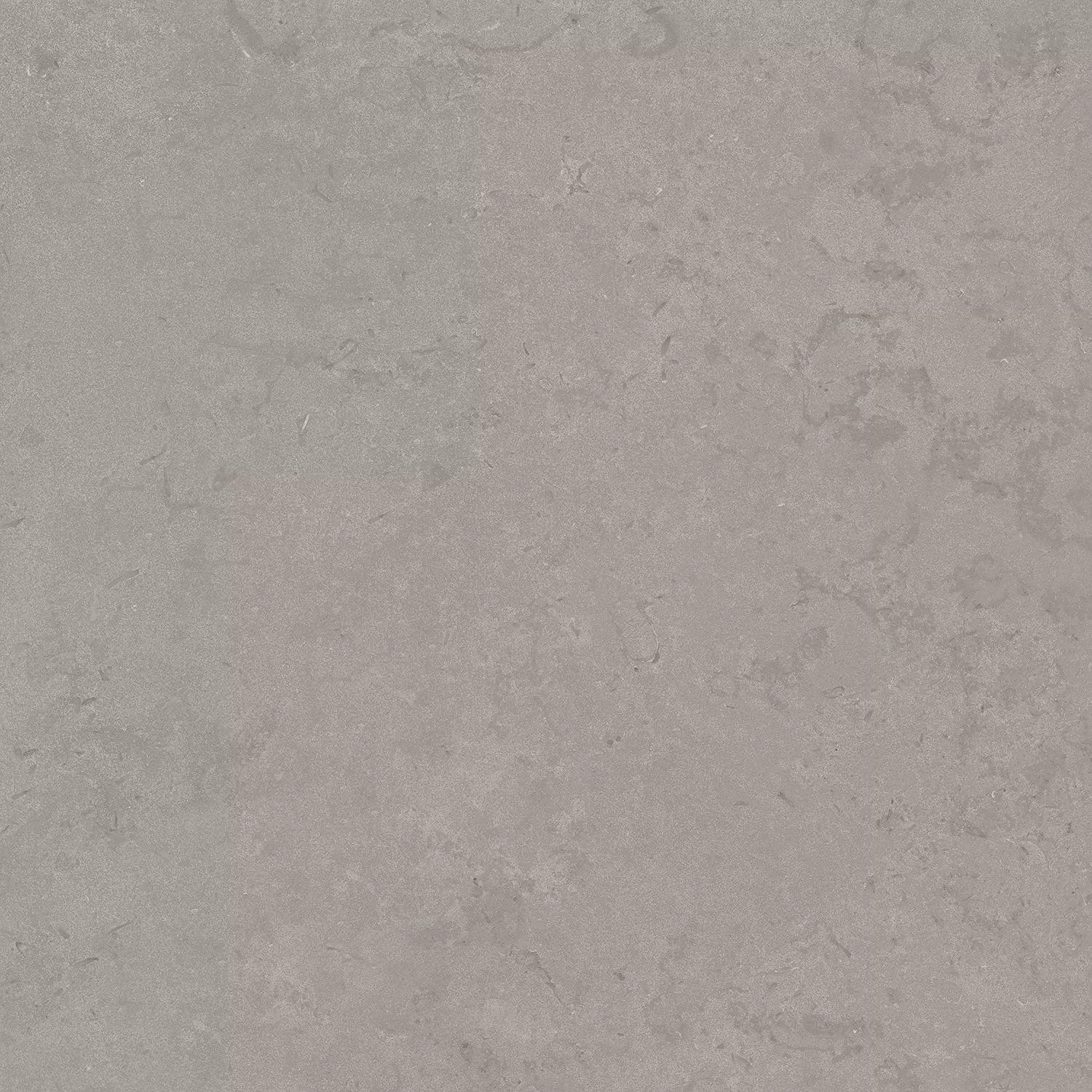 Про Лаймстоун серый натуральный обрезной 60x60x0,9