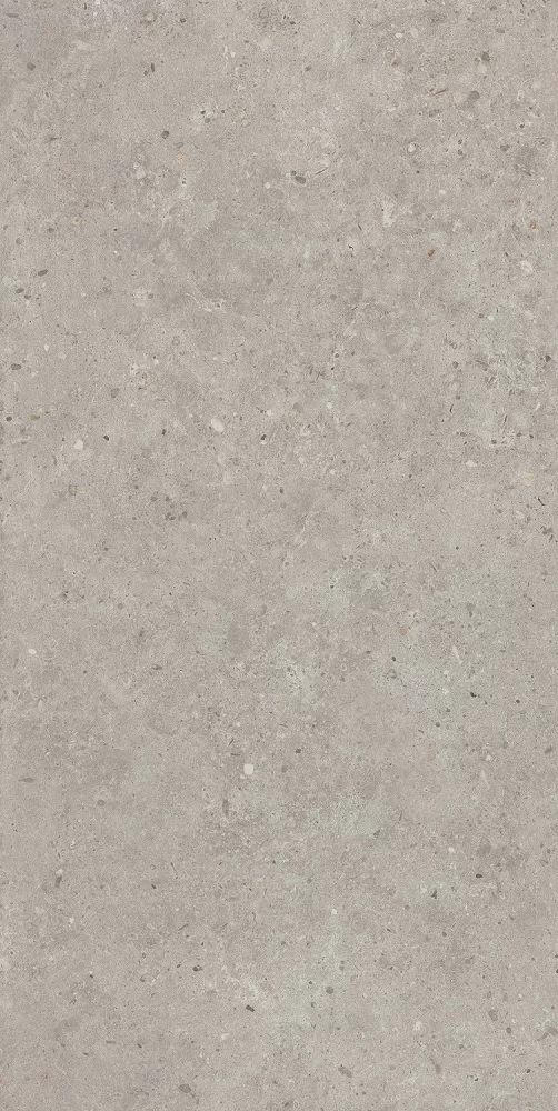 Риккарди серый светлый матовый обрезной 60x119,5x0,9