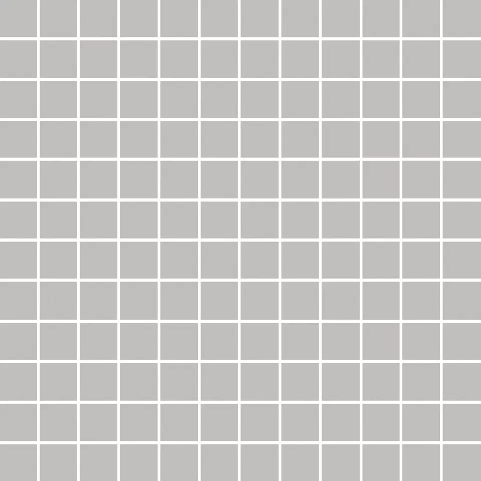 Темари серый светлый матовый 29,8x29,8x0,35