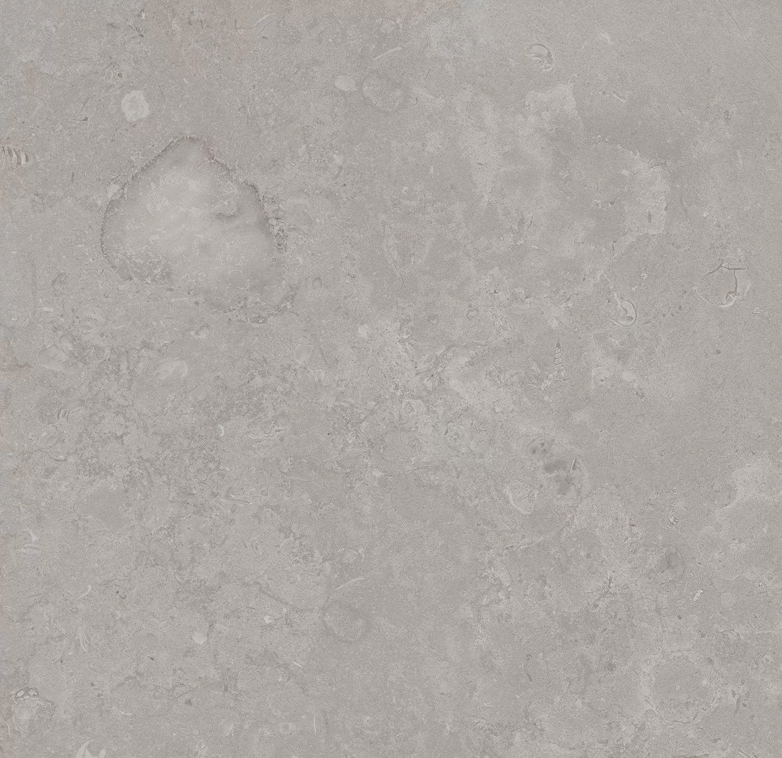 Про Лаймстоун серый натуральный обрезной 60x60x0,9