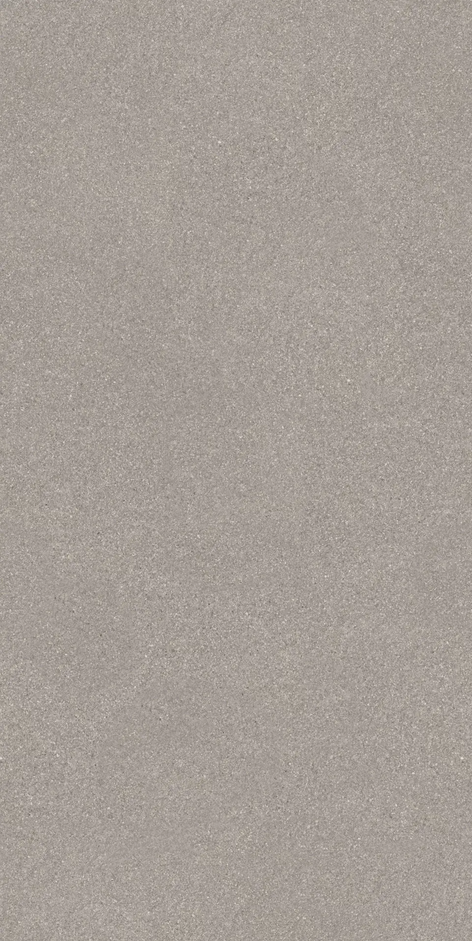 Рабат серый матовый обрезной 30x60x0,9