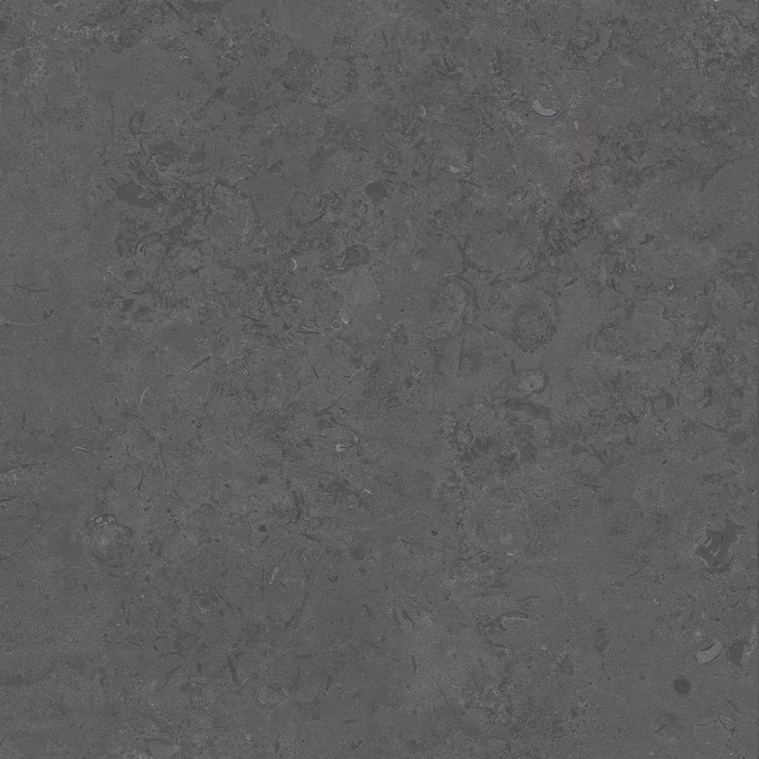 Про Лаймстоун серый темный натуральный обрезной 60x60x0,9