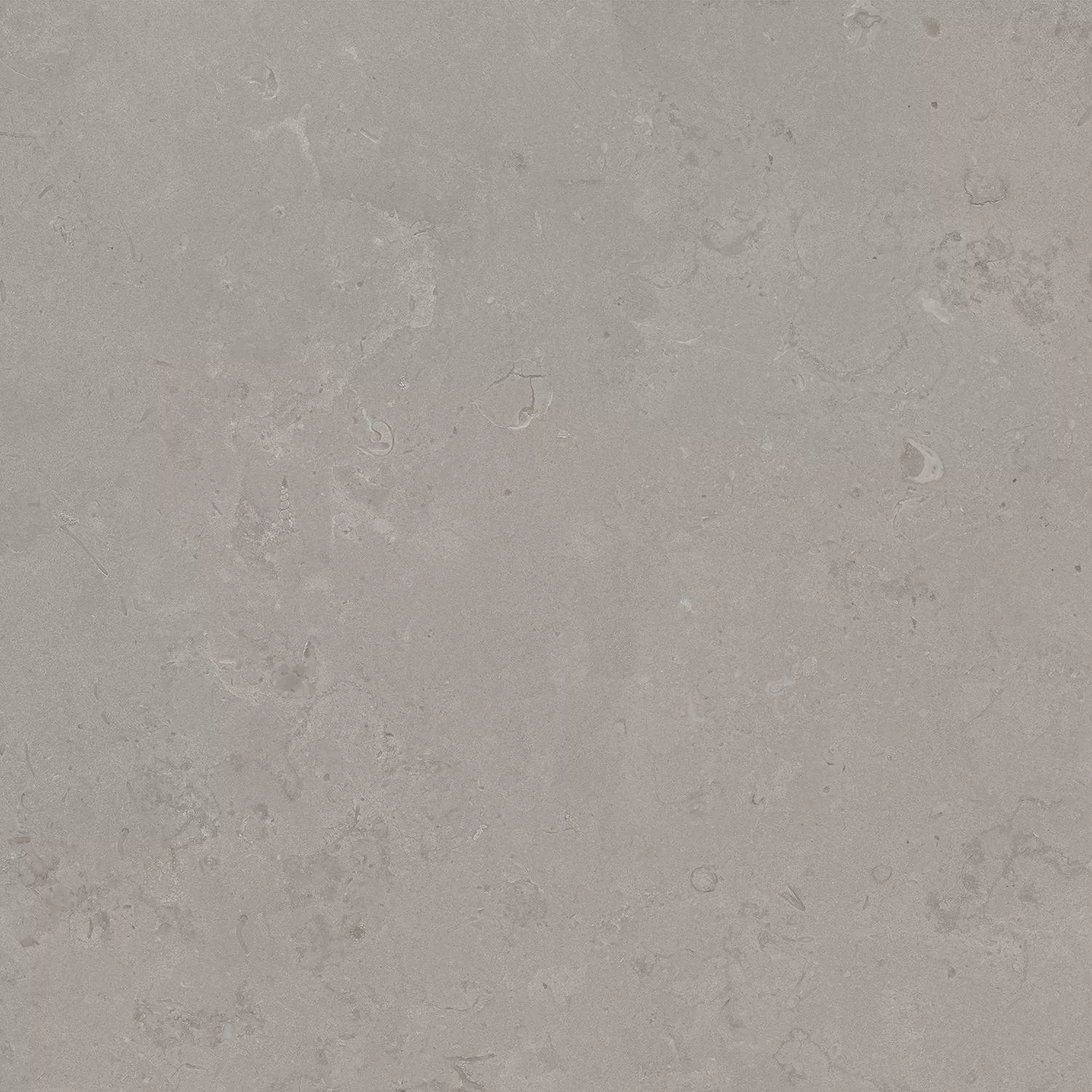 Про Лаймстоун серый натуральный обрезной 60x60x0,9