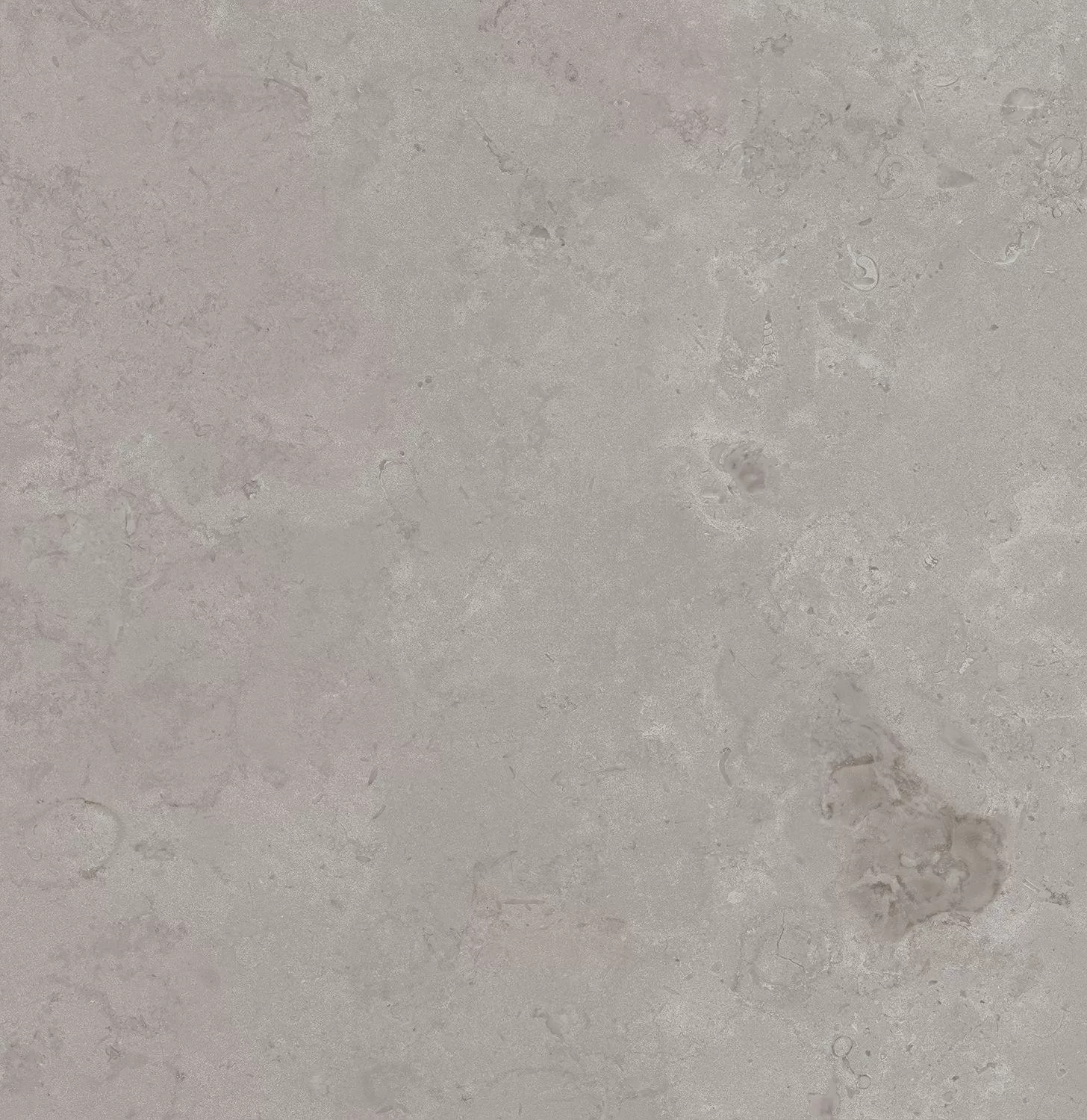 Про Лаймстоун серый натуральный обрезной 60x60x0,9