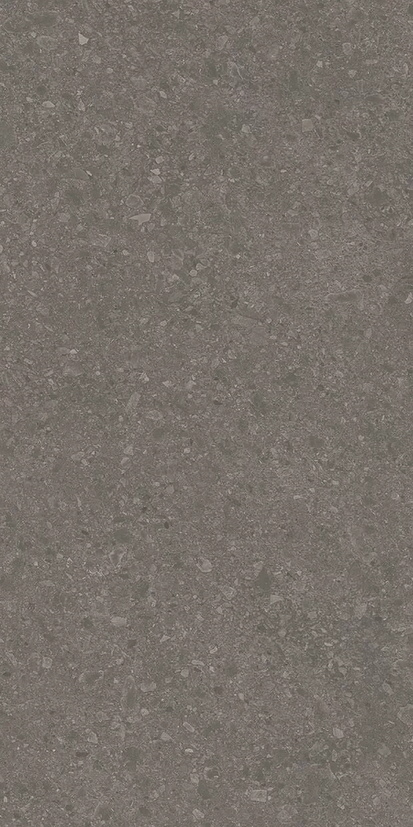 Чеппо ди Гре коричневый матовый обрезной 119,5x238,5x0,9