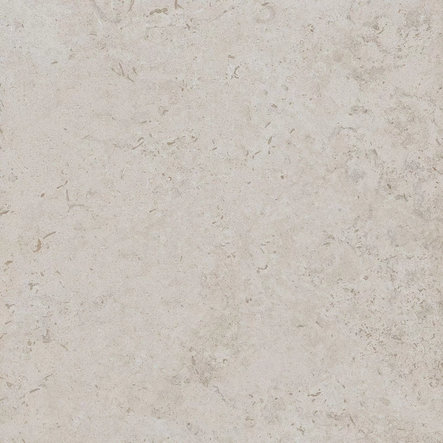 Про Лаймстоун бежевый натуральный обрезной 60x60x0,9