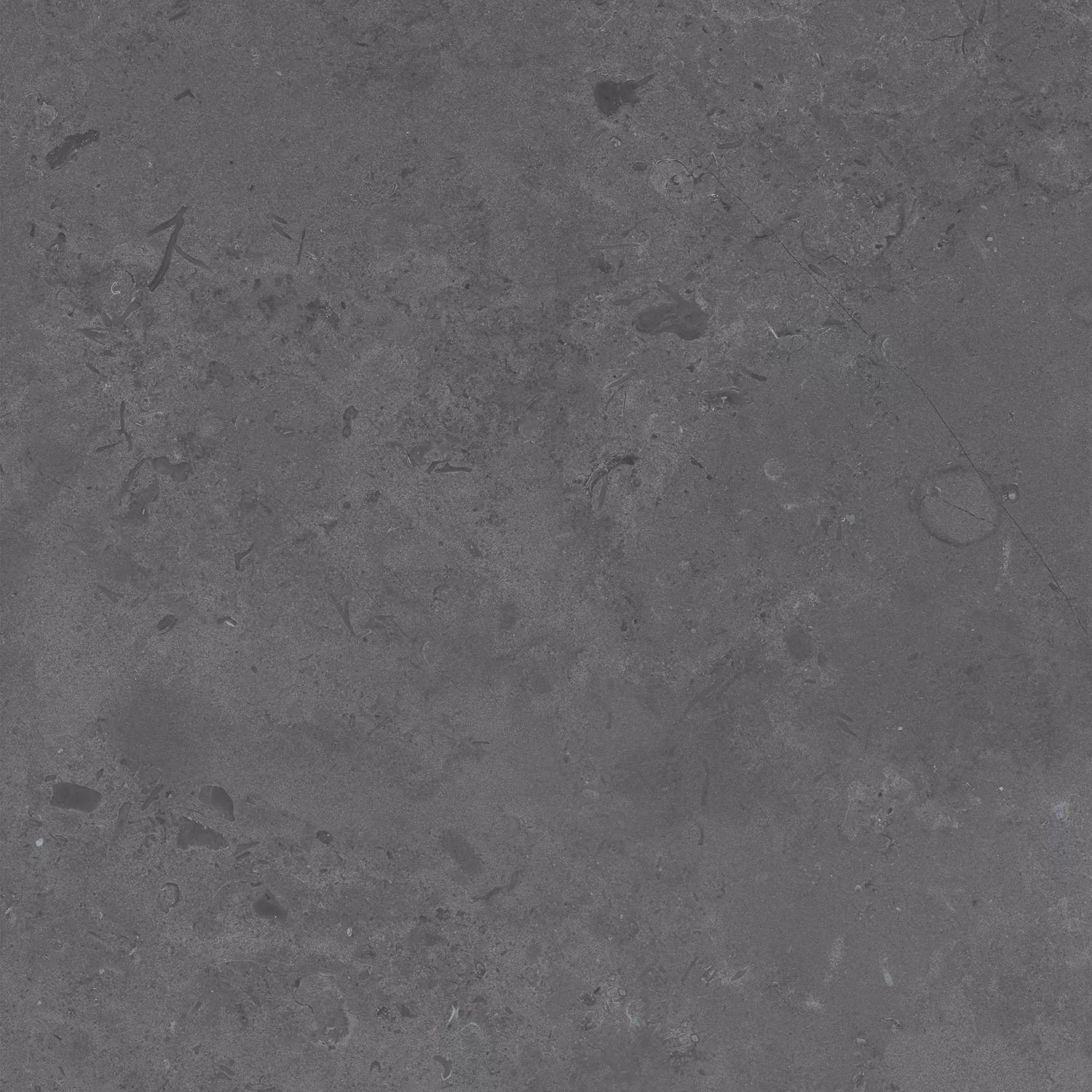 Про Лаймстоун серый темный натуральный обрезной 60x60x0,9