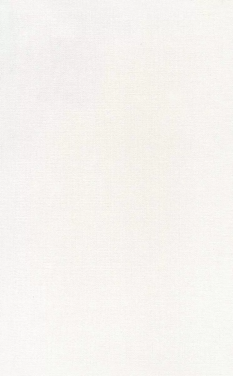 Ауленсия серый матовый 25x40x0,8