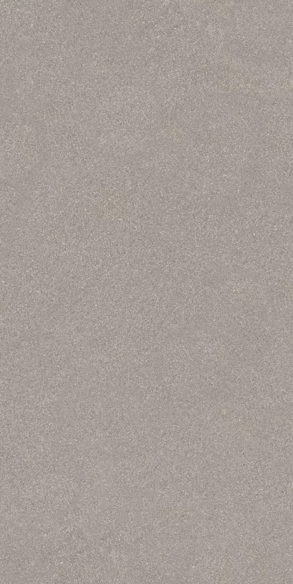 Рабат серый матовый обрезной 30x60x0,9